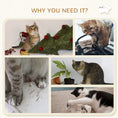 Load image into Gallery viewer, 4Pcs Cat Wall Shelf with Scratching Post, Cat Wall Shelves for Relaxing, Climbing, Cat Wall With Soft Ladder, Hammock, Play Balls, Grey
