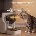 Load image into Gallery viewer, Automatic Cat Feeder w/ Stainless Steel Bowl, 4.5L Cat Food Dispenser with Timer Up to 6 Meals, Voice Recorder, Programmable Auto Pet Feeder with Portion Control, for Multi-Kittens
