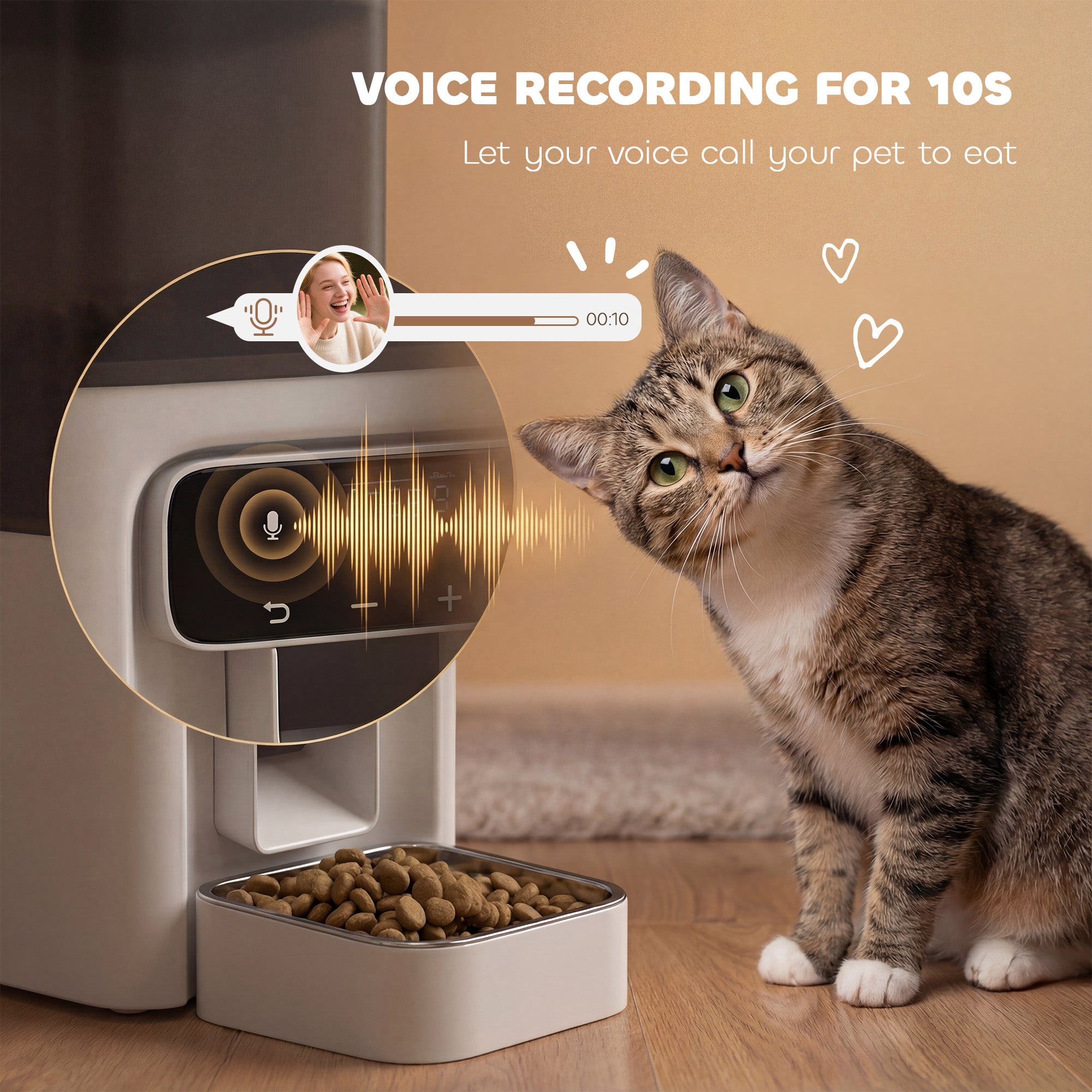 Automatic Cat Feeder w/ Stainless Steel Bowl, 4.5L Cat Food Dispenser with Timer Up to 6 Meals, Voice Recorder, Programmable Auto Pet Feeder with Portion Control, for Multi-Kittens