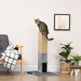 Load image into Gallery viewer, Cat Tree Scratching Post for Indoor Cats 79cm Jute Scratcher Climber w/ Carpet Base Dangling Toy – Grey
