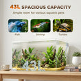 Load image into Gallery viewer, 43L Fish Tank, Glass Aquarium, Small Fish Tank with Protective Base Mat, for Shrimps, Turtles, Transparent, 50 x 30 x 30 cm
