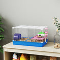 Load image into Gallery viewer, Hamster Cage, Small Gerbil Cage 2 Tiers Portable w/ Handle, Exercise Wheel, Water Bottle, Dishes, Blue
