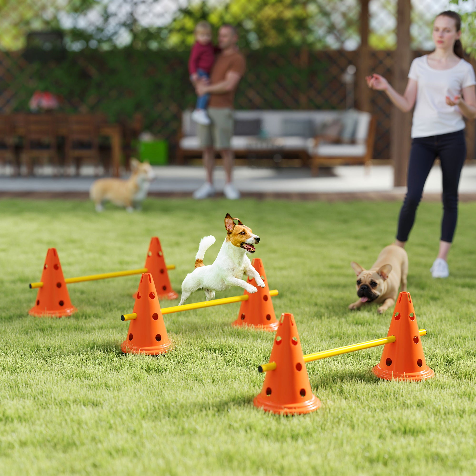 Dog Agility Set, Portable Pet Jump Training Equipment Kit for Six Cones, Six Poles with Carry Bag, Three-Piece Adjustable Height Jumping Obstacles, Orange