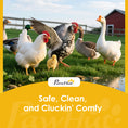 Load image into Gallery viewer, 105" Large Chicken Coop, Walk-in Wooden Hen House for 7-12 Hens, Poultry Cage Chicken House with Run, 2 Nesting Boxes, Roosting Bars, Waterproof Roof and Ramp, Yellow

