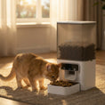 Load image into Gallery viewer, Automatic Cat Feeder w/ Stainless Steel Bowl, 4.5L WiFi Cat Food Dispenser with Timer Up to 10 Meals, Voice Recorder, Programmable Auto Pet Feeder with Portion Control, for Multi-Kittens
