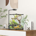Load image into Gallery viewer, Glass Reptile Terrarium, 12L Vivarium for Lizards, Frogs, Snakes, Turtles, Tortoises, with Ventilation, 20 x 20 x 30cm
