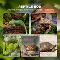 Load image into Gallery viewer, Glass Reptile Terrarium, 12L Vivarium for Lizards, Frogs, Snakes, Turtles, Tortoises, with Ventilation, 20 x 20 x 30cm

