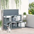 Load image into Gallery viewer, Rabbit Hutch Outdoor Guinea Pig Hutch 2 Tier Wooden Cage w/ Ramp, Divider, Openable Roof, 125 x 48 x 100cm - Grey
