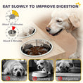 Load image into Gallery viewer, Elevated Dog Bowls with Storage Cabinet, Raised Dog Bowl Stand, Dog Feeding Station with Slow Feeder & Non-Slip, for Large Pets, Oak
