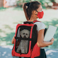 Load image into Gallery viewer, Pet Travel Backpack Bag Cat Puppy Dog Carrier w/ Trolley and Telescopic Handle Portable Stroller Wheel Luggage Bag (Red)
