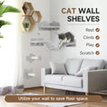 Load image into Gallery viewer, Cat Wall Shelves, 4 Piece Wall-Mounted Cat Tree with Steps, Ladder, Jumping Platforms, Scratching Posts, Toy Ball, Cat Wall Furniture for Indoor Cats, Light Grey

