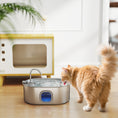 Load image into Gallery viewer, Cat Water Fountain Stainless Steel, 246 oz. / 7L Automatic Pet Fountain with Filters, Ultra-Quiet Pump, Visibility Window, Dog Water Bowl Dispenser for Cats, Dogs and Multi-Pet Homes
