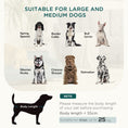 Load image into Gallery viewer, Dog Sofa with Legs Water-resistant Fabric, Pet Chair Bed for Large, Medium Dogs, Green, 100 x 62 x 32 cm
