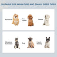 Load image into Gallery viewer, Raised Dog Bowl Feeding Bowls with Stand for Extra Small and Small Dogs Elevated Pet Bowls Water Food Feeder 44L x 24W x 15H cm - Grey
