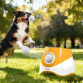 Load image into Gallery viewer, 6 Pack Dog Balls Toys Fits Aggressive Chewers, Indestructible Teething and Water ETPU Balls for Throw and Fetch, High Bounce Interactive Toys for Small and Medium Dogs, 5.8cm/2.3Inch

