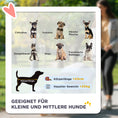 Load image into Gallery viewer, Pet Stroller for Small and Medium Dogs, 3 Big Wheels Cat Stroller Travel Folding Carrier with Adjustable Canopy, Safety Tether, Storage Basket, Red
