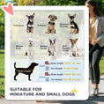 Load image into Gallery viewer, 3-in-1 Double Pet Stroller for Small Miniature Dogs Cats with Removable Carrier, Foldable Travel Carrier Bag, Car Seat, Blue

