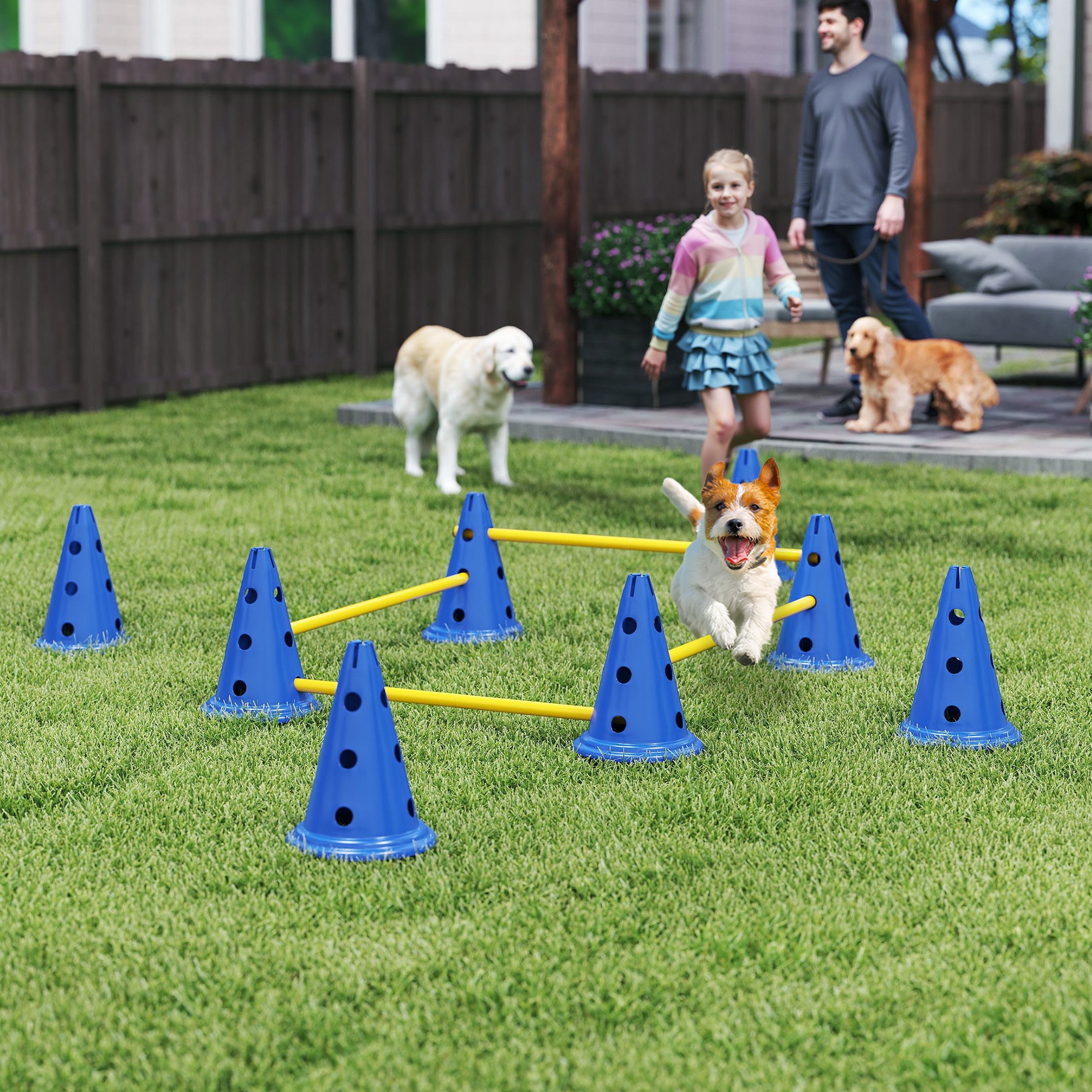 Dog Agility Equipment Set, Portable Pet Jump Training Kit for Eight Cones, Eight Poles with Carry Bag, Four-Piece Adjustable Height Jumping Obstacles, Blue