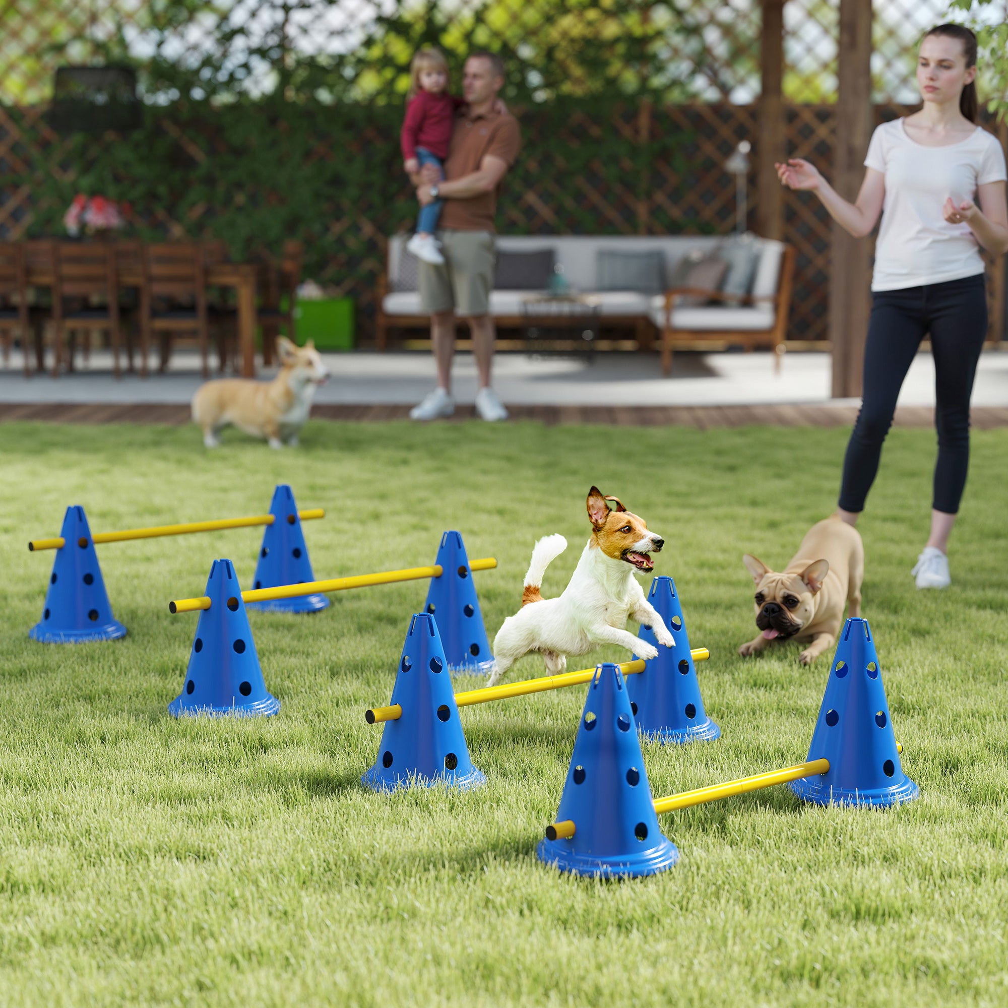 Dog Agility Equipment Set, Portable Pet Jump Training Kit for Eight Cones, Eight Poles with Carry Bag, Four-Piece Adjustable Height Jumping Obstacles, Blue