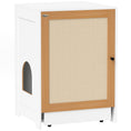 Load image into Gallery viewer, Cat Litter Box Enclosure, Hidden Litter Box Furniture with Pull-Out Tray, Indoor Cat Washroom with Storage Cabinet,  Scratching Mat, Oak
