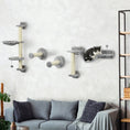 Load image into Gallery viewer, 4Pcs Wall Mounted Cat Shelves, with Hammock, Perches, Ladder, Scratching Post, Cat Wall Furniture for Large Cats, Grey
