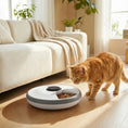 Load image into Gallery viewer, 6 Meal Automatic Cat Feeder Cordless, Dry & Wet Food Cat Food Dispenser with 1 Ice Pack, Battery Powered, Programmable Timer, for Kitty Small Dogs, Easy to Clean
