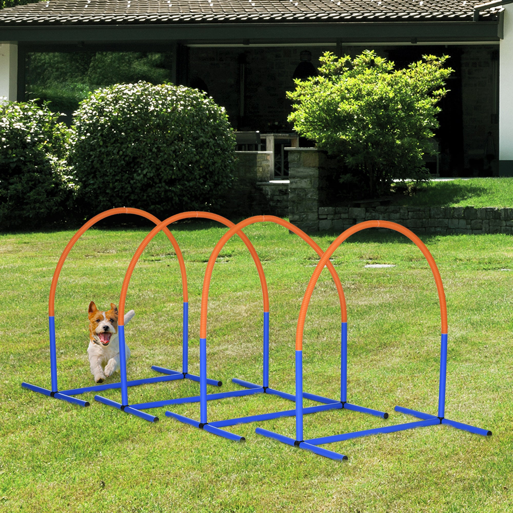 Dog Agility Training Equipment, 4 PCS Obstacle Course with Carrying Bag for Old Dogs, Dog Agility Course for Backyard, Indoor, Outdoor, Blue