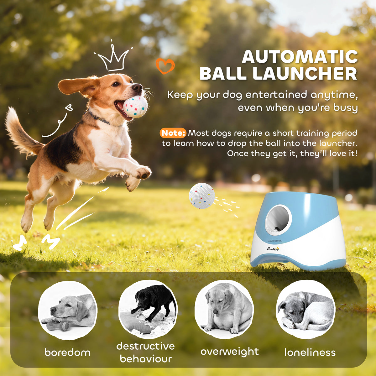 Automatic Dog Ball Launcher with 5 2.3" ETPU Balls, Dog Ball Thrower with 3 Distance Settings (20/33/46 ft), Indoor Outdoor Interactive Toy for Small Medium Breeds, Blue
