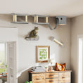 Load image into Gallery viewer, Cat Wall Shelves, 4PCs Cat Shelves with Scratching Post, Jumping Platforms, Ladder, Condo, Ceiling Wall Mounted Cat Climber, Light Grey
