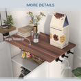 Load image into Gallery viewer, Pet Feeding Station with Storage, Dog Feeding Station with Raised Dog Bowls, Adjustable Panel, Hooks, Pet Food Storage Cabinet, White
