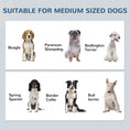 Load image into Gallery viewer, Pet Feeding Station with Storage, Dog Feeding Station with Raised Dog Bowls, Adjustable Panel, Hooks, Pet Food Storage Cabinet, White

