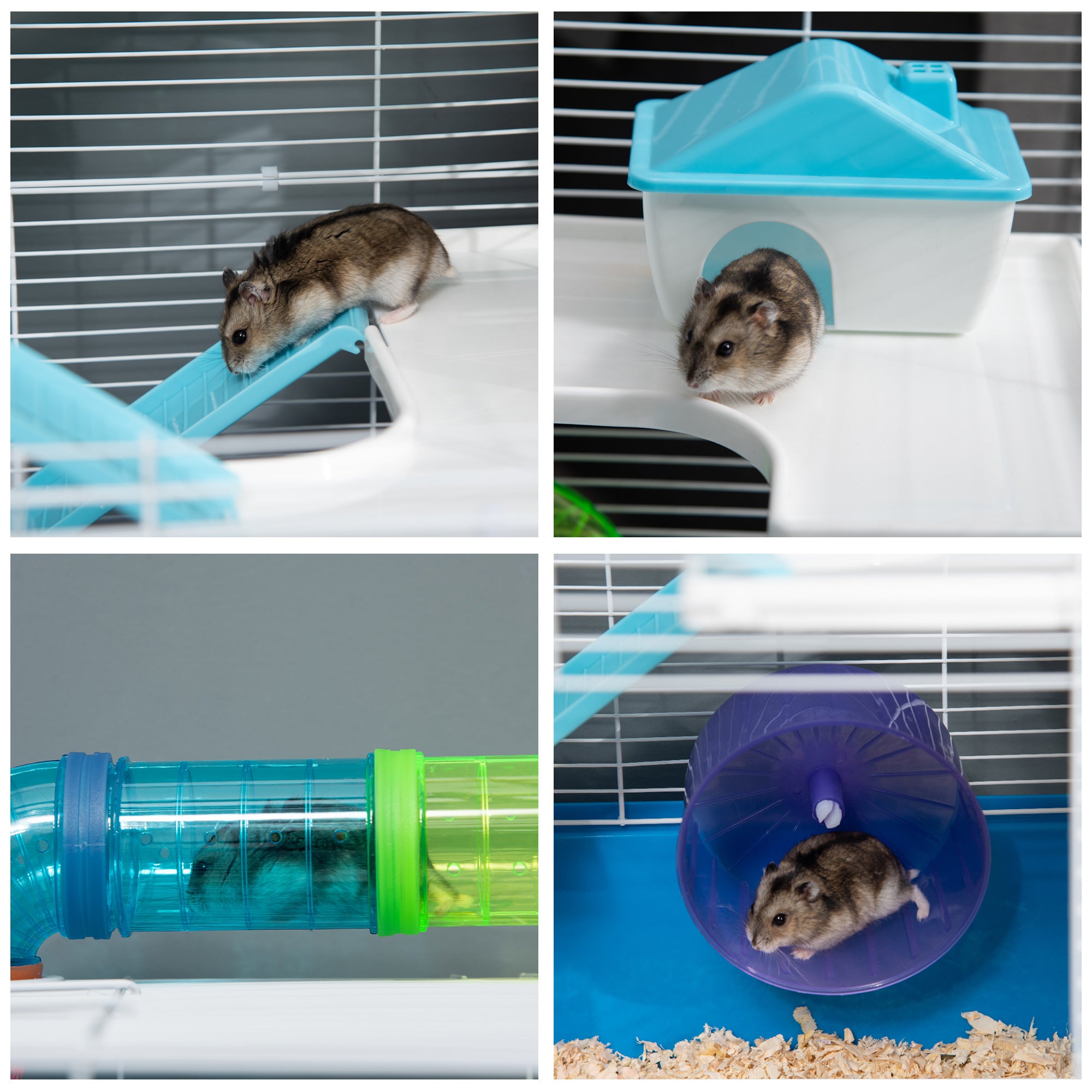 Hamster Cage, Large Small Animal House, 5-Level Guinea Pig Cage Gerbil Haven, Tunnel Tube System, with Water Bottle, Exercise Wheel, Food Dish, Ramps, Blue