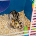 Load image into Gallery viewer, 5 Tier Hamster Cage, Gerbil Cage with Tube, Water Bottle, Exercise Wheel, Food Dish, 59L x 36W x 69H cm - Blue

