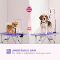 Charger l'image dans la visionneuse de la galerie, 32in Foldable Dog Grooming Table for Small Medium Dogs, Pet Grooming Table for Cats Puppies with Adjustable Arm, Noose and Non-Slip Surface, Purple
