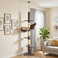 Load image into Gallery viewer, Floor-to-Ceiling Cat Tree, 88.6"-100.4" Adjustable 5-Level Cat Tower with Hammock, 3 Sisal Scratching Posts, Toy Ball, Anti-Tip Rope, Dark Grey
