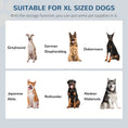 Load image into Gallery viewer, Elevated Dog Bowls for Large Dogs with Storage Dog Pet Diner Function 2 Stainless Steel Dog Bowls Elevated Base for Big-sized Dogs and Other Large Pets, Grey
