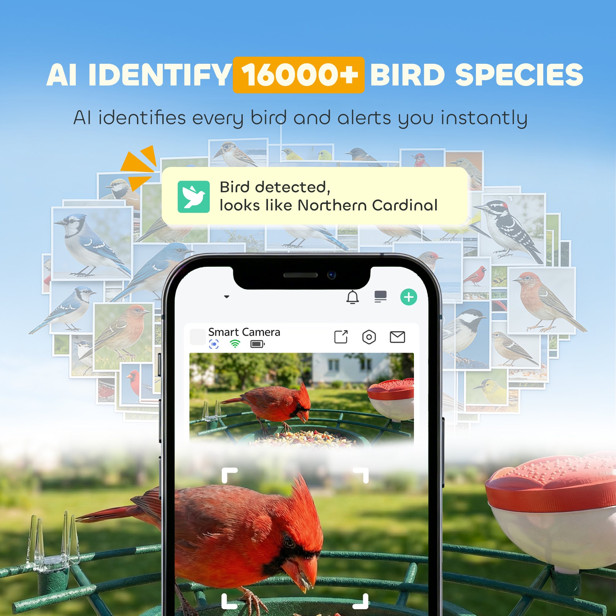 Smart Bird Feeder with Camera, AI Identify 16000+ Birds, 2K HD Live Video, Auto Video Capture, Motion Detection, Instant Arrival Alerts, 3W Solar Powered, Bird Lover Gifts