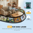 Load image into Gallery viewer, Smart Bird Feeder with Camera, AI Identify 16000+ Birds, 2K HD Live Video, Auto Video Capture, Motion Detection, Instant Arrival Alerts, 3W Solar Powered, Bird Lover Gifts
