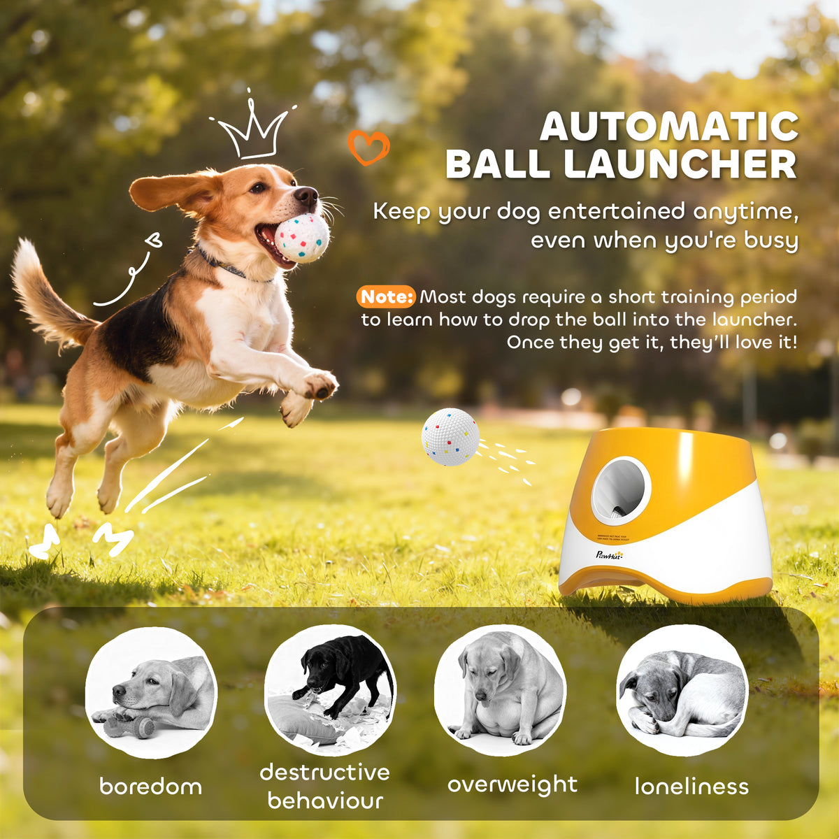Automatic Dog Ball Launcher with 5 2.3" ETPU Balls, Dog Ball Thrower with 3 Distance Settings (20/33/46 ft), Indoor Outdoor Interactive Toy for Small Medium Breeds, Orange