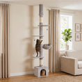 Load image into Gallery viewer, Floor to Ceiling Cat Tree, 230-250cm Multi-Level Cat Tower with Adjustable Height, Scratching Posts, Condo, Platforms and 3 Dangling Balls, Activity Tree for Indoor Kittens, Light Grey
