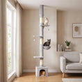 Load image into Gallery viewer, Floor to Ceiling Cat Tree, 230-250cm Multi-Level Cat Tower with Adjustable Height, Scratching Posts, Condo, Platforms and 3 Dangling Balls, Activity Tree for Indoor Kittens, Light Grey
