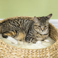 Load image into Gallery viewer, 28" Cat Tree with Scratching Post, Cat Tower for Indoor Cats with Double Beds, Beige
