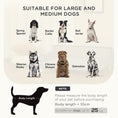 Load image into Gallery viewer, Dog Sofa with Legs Water-resistant Fabric, Pet Chair Bed for Large, Medium Dogs, Grey, 100 x 62 x 32 cm
