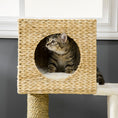 Load image into Gallery viewer, Cattail Weave Cat Tree for Indoor Cats Kitty Tower with Rattan Cat Condo, Wicker Bed, Ladder, Washable Cushions, 22.5" x 14.5" x 39.5", Natural
