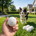 Load image into Gallery viewer, 6 Pack Dog Balls Toys Fits Aggressive Chewers, Indestructible Teething and Water ETPU Balls for Throw and Fetch, High Bounce Interactive Toys for Small and Medium Dogs, 5.8cm/2.3Inch
