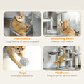 Load image into Gallery viewer, Cat Tree, 62" Multi-Level Cat Tower with Scratching Posts, 2 Condos, Hammock, Perches, Plush, Pompoms, for Indoor Kittens Playing, Resting, Sleeping, Light Grey
