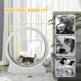 Load image into Gallery viewer, Cat Treadmill, Cat Exercise Wheel, 39.4 inch Kitten Running Wheel with Brake, Carpeted Runway for Exercise - White
