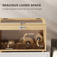 Load image into Gallery viewer, 22"L Hamster Cage, Small Animal Cage with Openable Top & Transparent Acrylic Windows, Hamster Enclosure with Hut, Seesaw, Ladder, for Dwarf Hamster, Gerbil, Natural Wood
